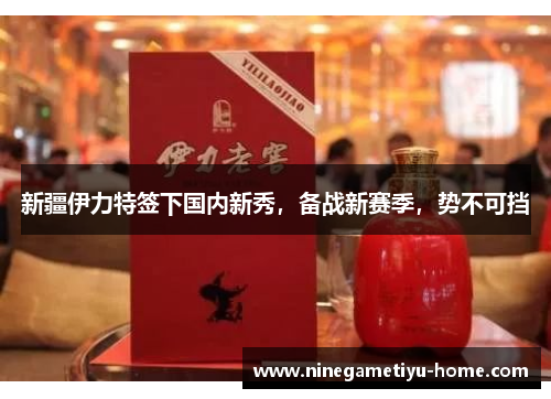 新疆伊力特签下国内新秀，备战新赛季，势不可挡