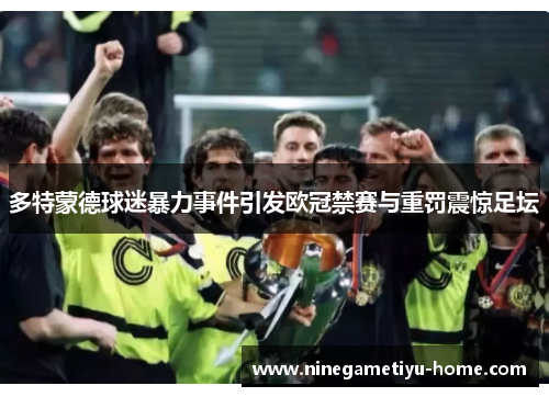 多特蒙德球迷暴力事件引发欧冠禁赛与重罚震惊足坛